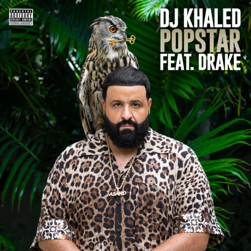 POPSTAR-DJ Khaled