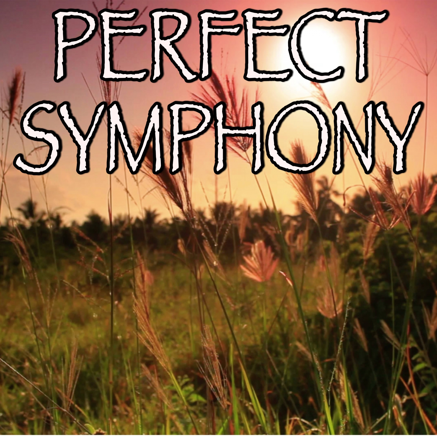 Perfect Symphony