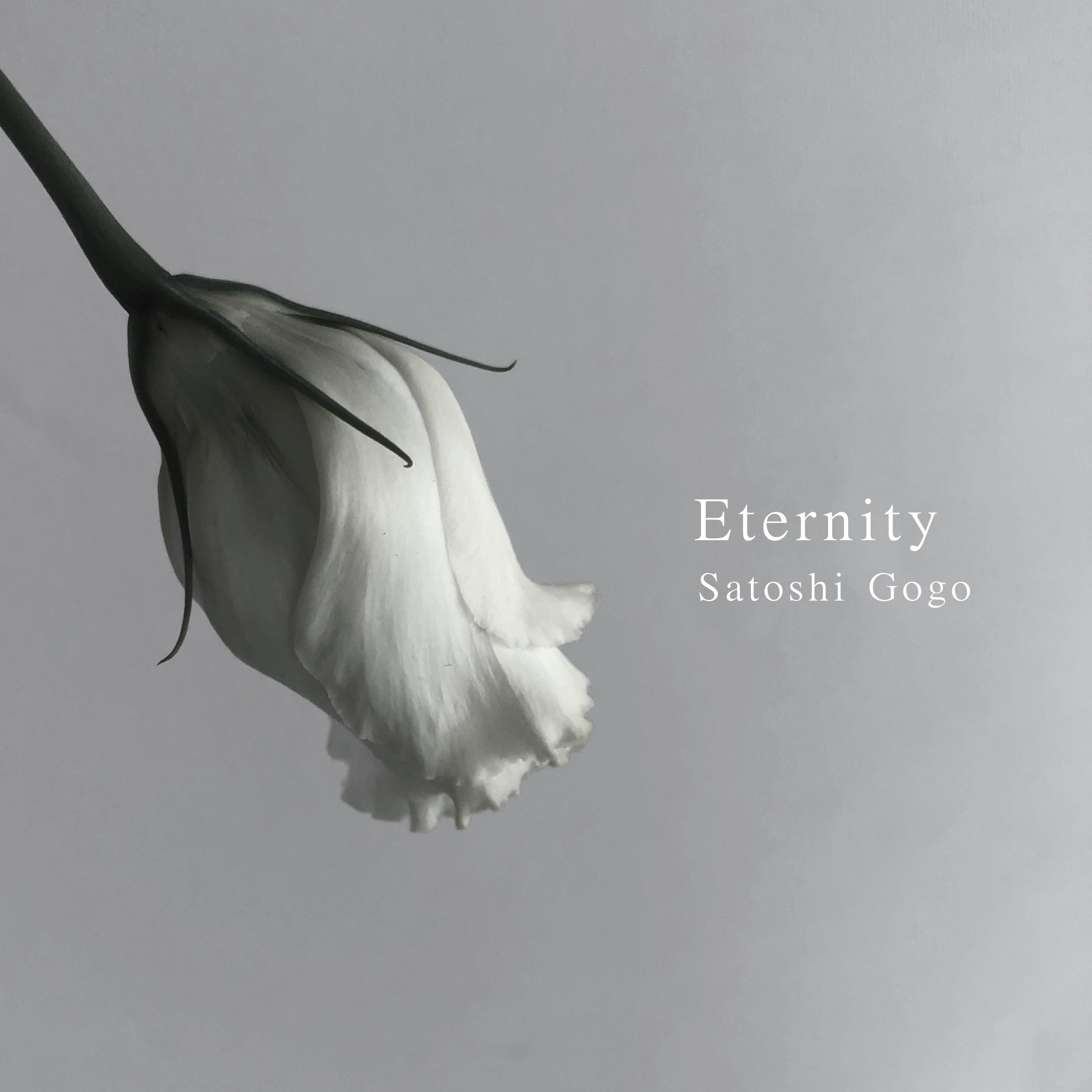 Eternity - Satoshi Gogo